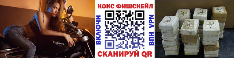 где можно купить   Ишимбай  COCAIN FishScale 