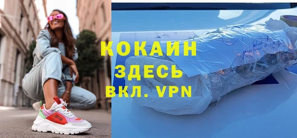 ПСИЛОЦИБИНОВЫЕ ГРИБЫ Няндома