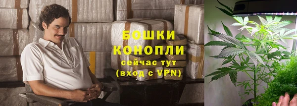 гашиш Дмитриев