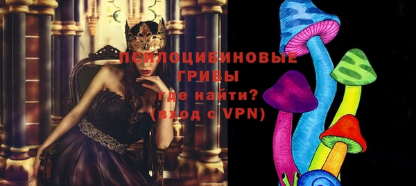 ешки Дмитров