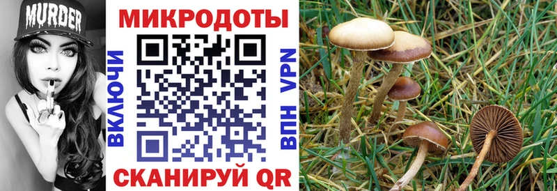 Галлюциногенные грибы Magic Shrooms блэк спрут ONION Ишимбай